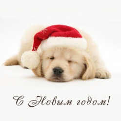 Желаем всем счастья и процветания в новом 2018 году!